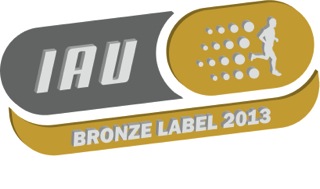 Bronze IAU Label 2013.jpeg
