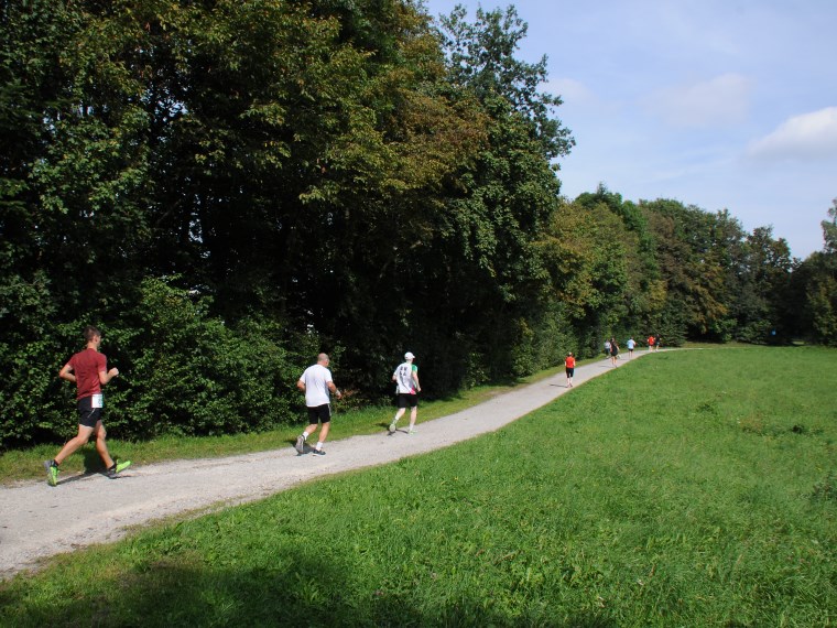 Auf der Strecke